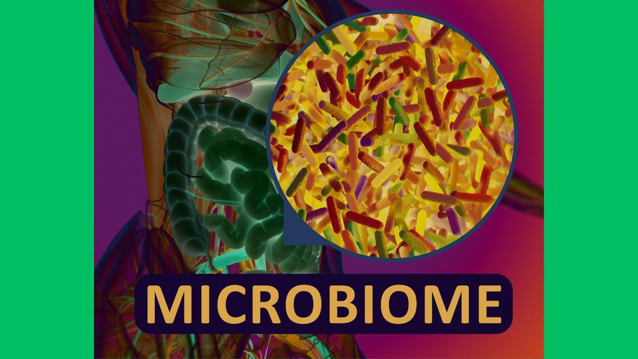 Gut health and the microbiome